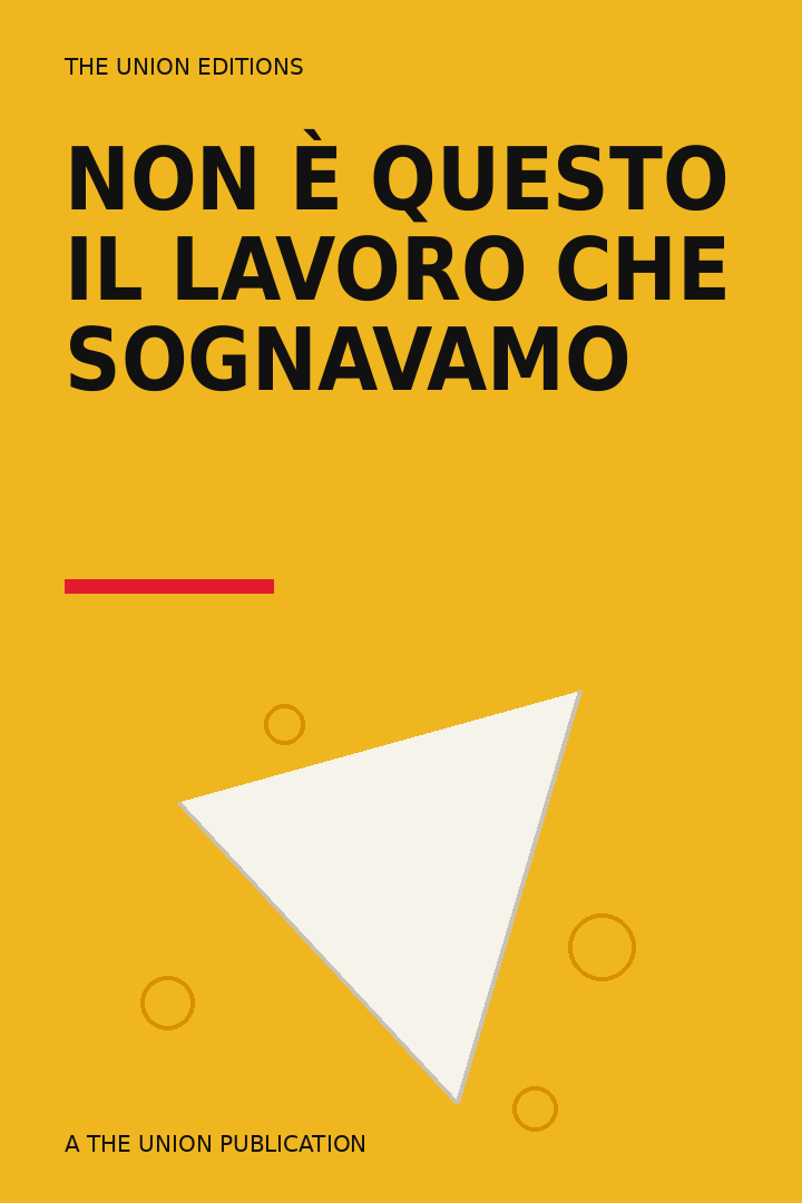 Copertina illustrata di Non è questo il lavoro che sognavamo